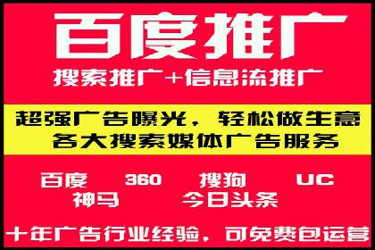 行业内的SEM竞价策略与效果对比案例